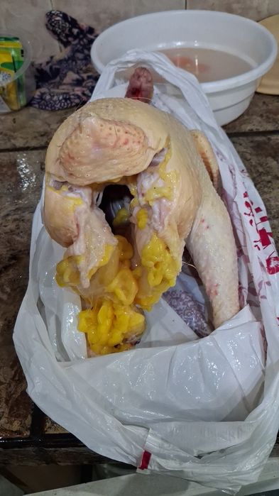 Пиодаётмя мясо домашней птицы.экологочески чистле