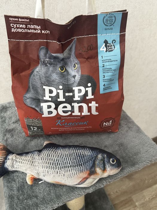 акссесуары для кота