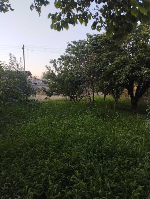 Дала Ховли 10,5 соток