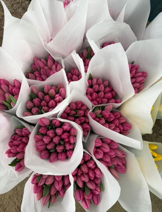 Тюльпаны  оптом  Астана