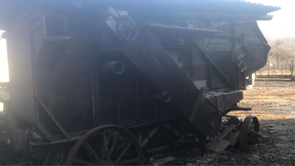 Batoza lucerna, trifoi, grau