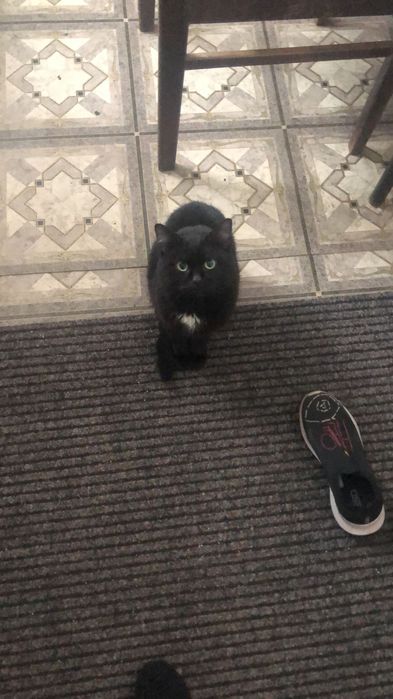 Вознаграждение 5000 тысяч