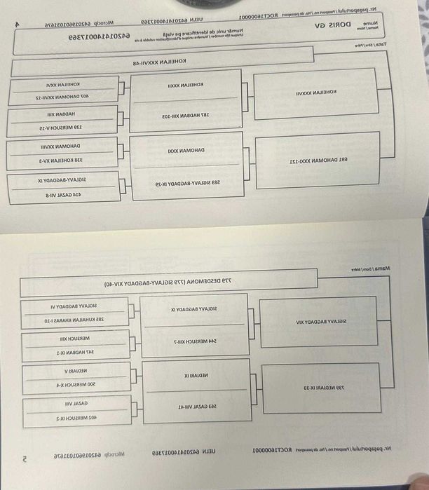 Iapă Shagya Arab înregistrată 12 ani + fiică 6 ani