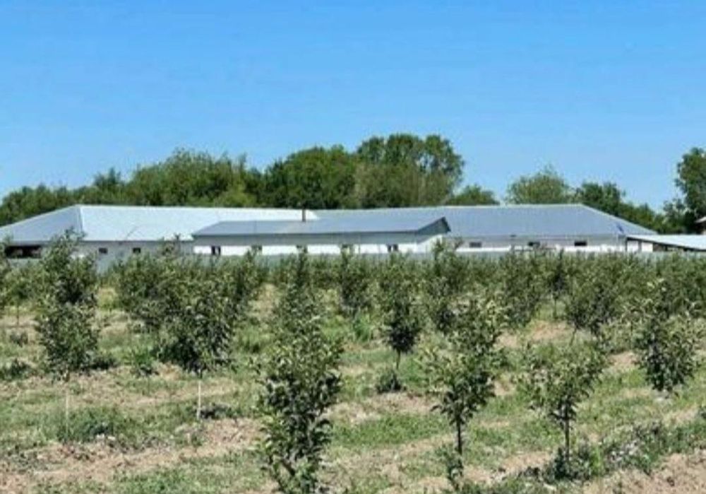 Продам земельный участок