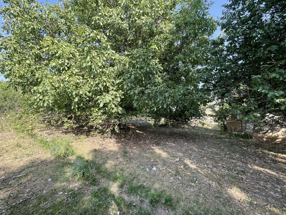 Участок 70 сотка