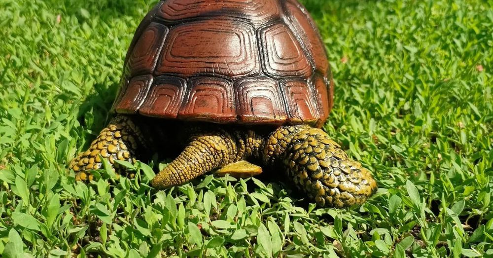 Черепаха садовая фигура