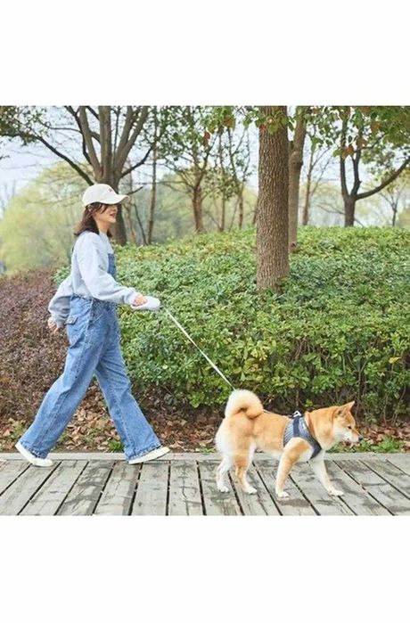 Поводок для собак рулетка Petkit Go