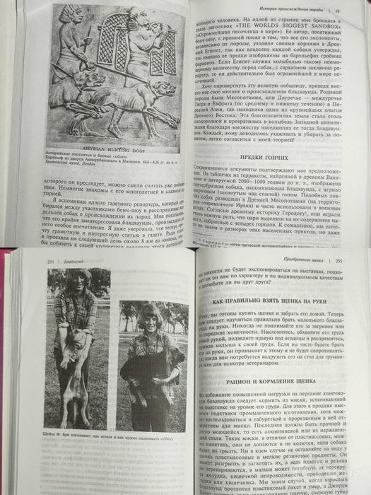 Книга. Бладхаунд. Библиотека Американского клуба собаководства.