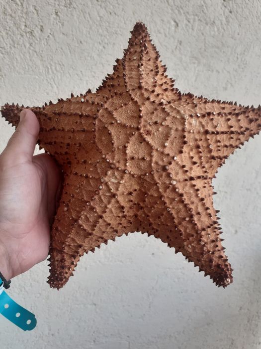 Хонда црв 2000 бензин,2005г.на части