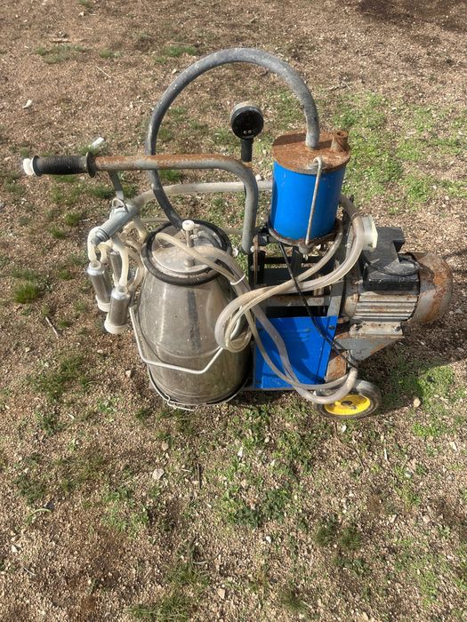 Доильный аппарат для коров Зорька