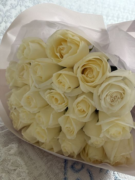 Продаются цветы 21 шт