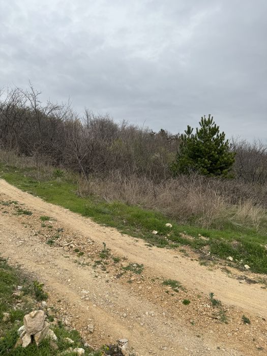 Продава се Парцел в Казанлък - 550 кв.м за 65 €/кв.м - Снимка #1