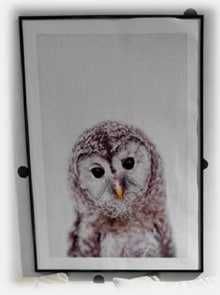 Подушки для декора + картины