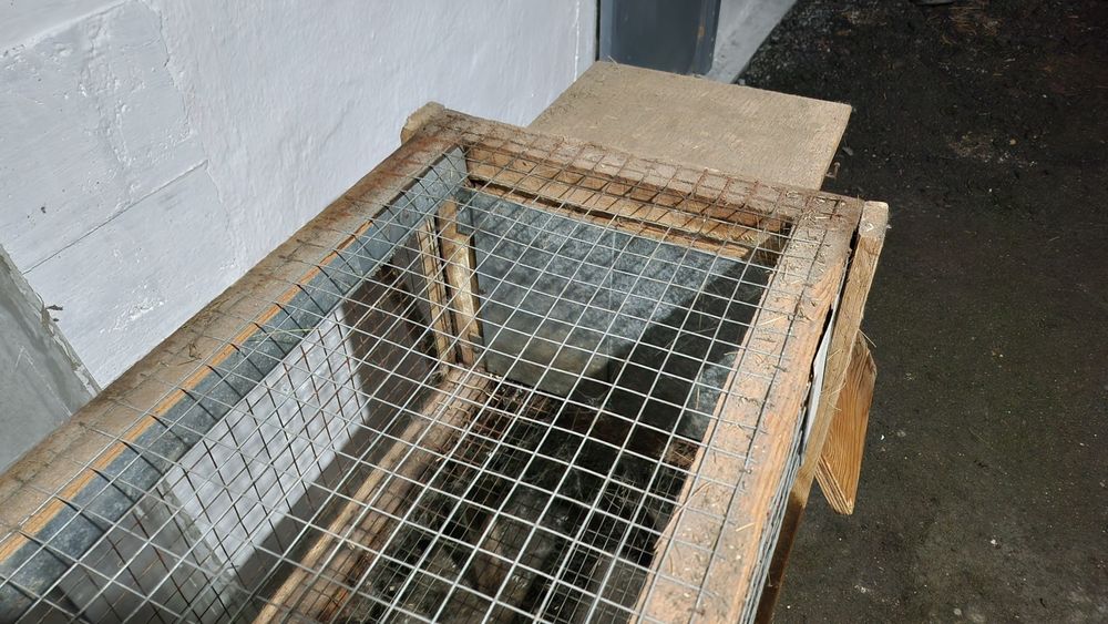 Продам клетку для кроликов