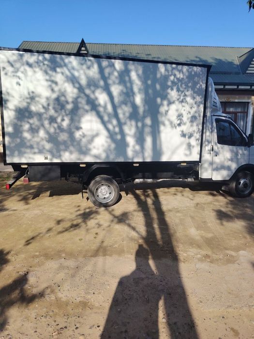 Gazel sotka sotiladi