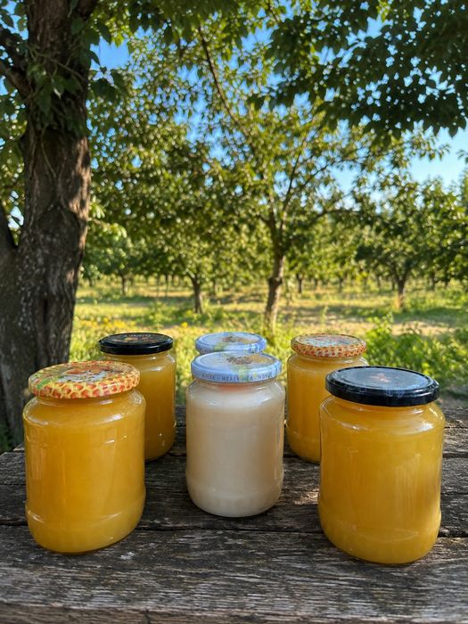 Miere naturala direct din stupină