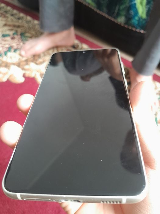 Samsung s21 fe..