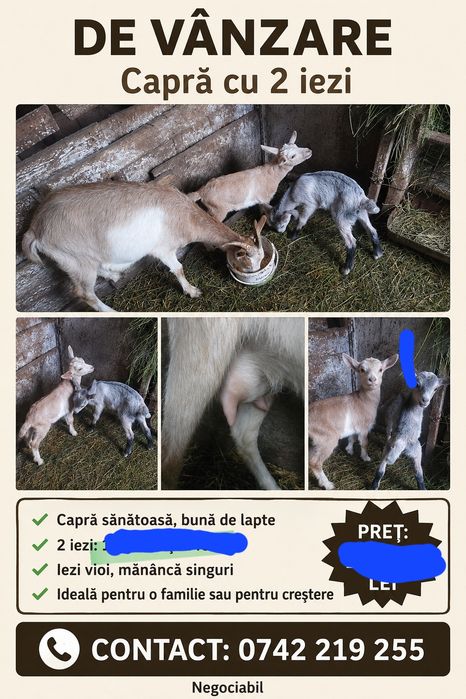 Caprita cu doi iezi