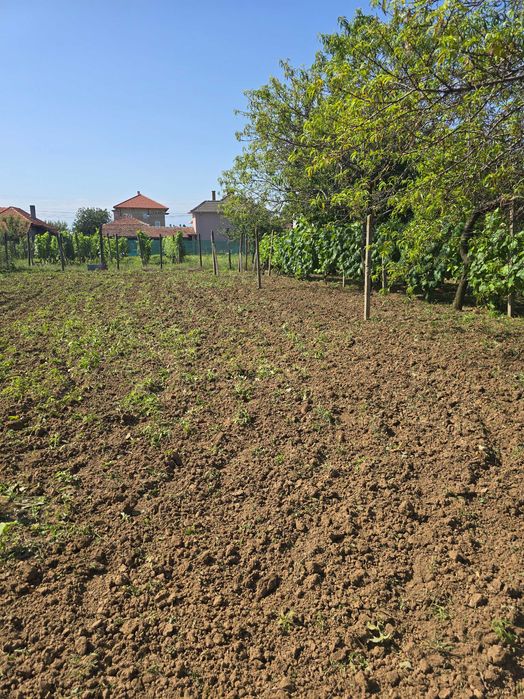 Продава се Къща в с. Калипетрово, Област Силистра - 45 кв.м за 680 €/кв.м - Снимка #13