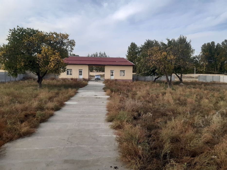 Noturar joy SOTILADI