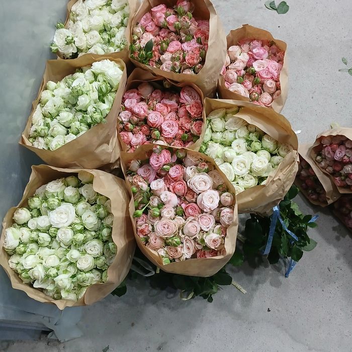 Тошкет туман саноат махалласи