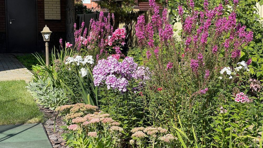 Озеленение | газон | автополив