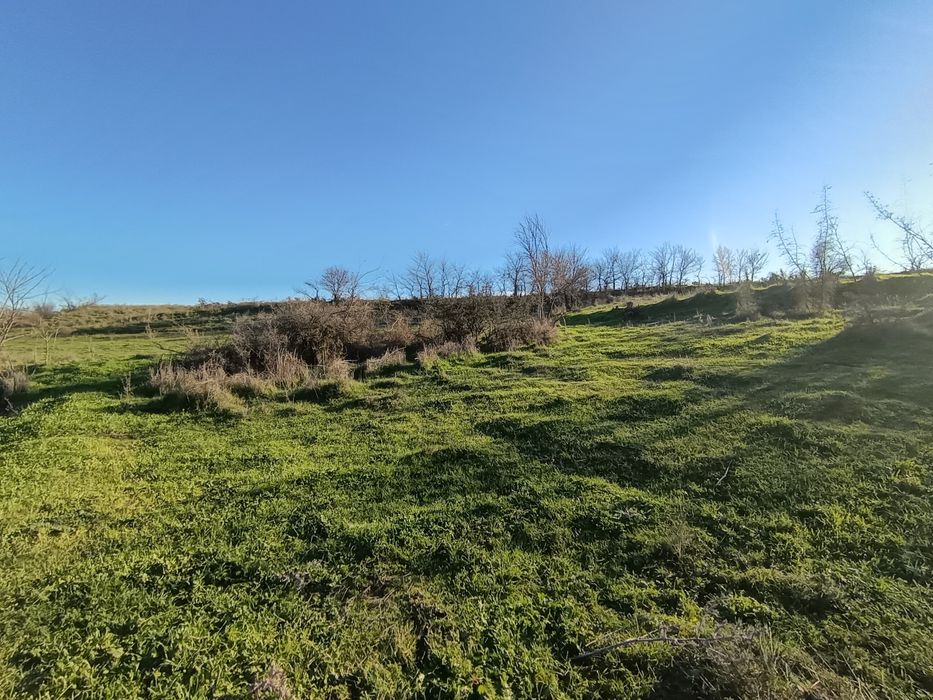 Едноетажна къща с мазе в Княжево