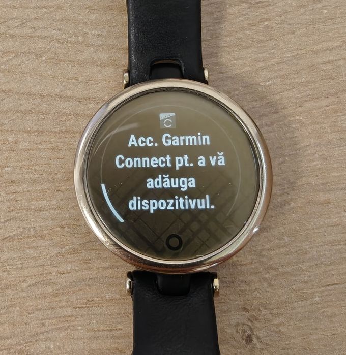 Smartwatch Garmin Lily