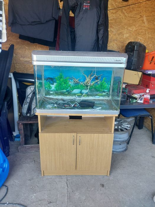 Acvariu 125L + accesorii + dulap lemn de vânzare 800lei