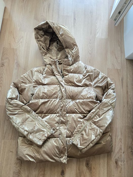 Pinko златисто  яке
