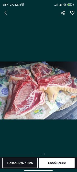 Мясо свинины домашние