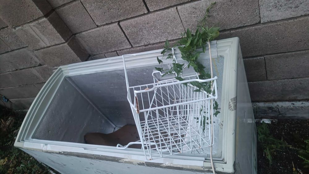 Продам морозильный ларь для мороженного