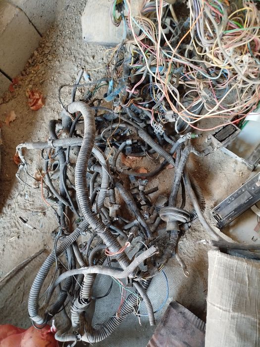 Gibrit miya kabil sotiladi