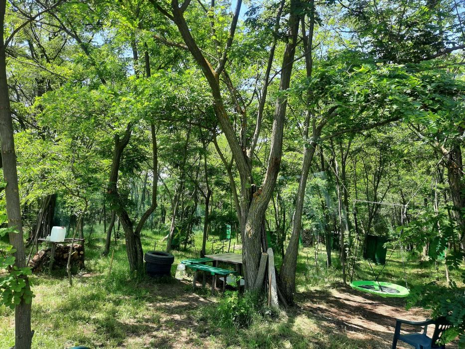 Празник сред природата