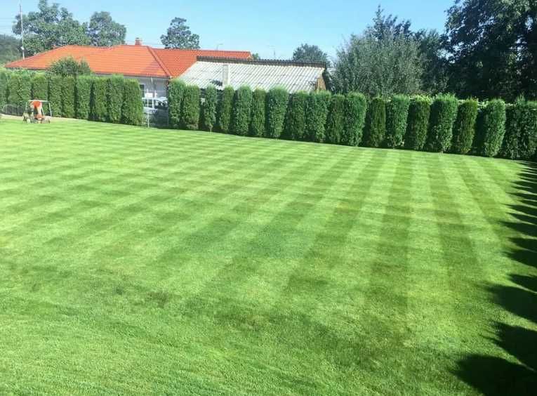 Gazon Rulou  Premium Rustic/Sport