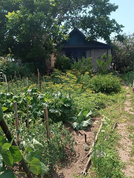 Продам дачу, сад "Здоровье"
