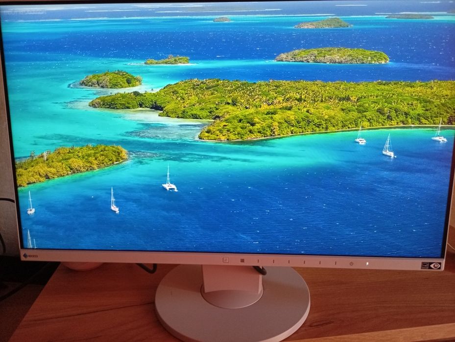 Монитор Eizo FlexScan EV2450 FHD