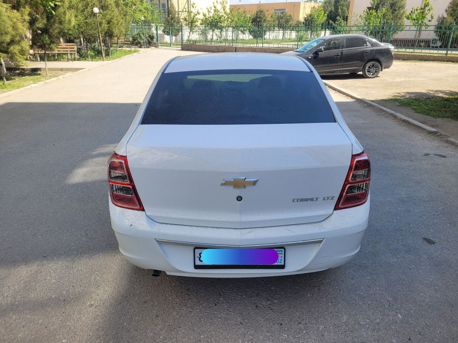 Other Cobalt 2024 — 4