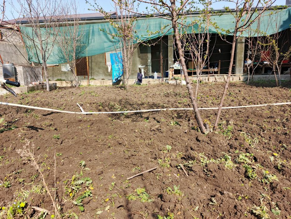 Toshkent shahri bo'ylab yer xaydash va chopish xizmati
