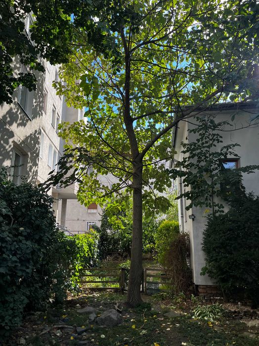 Casa individuala de vanzare aproape de centru