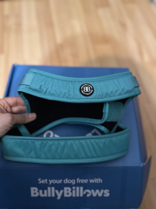 Ham pt caini bullybillows