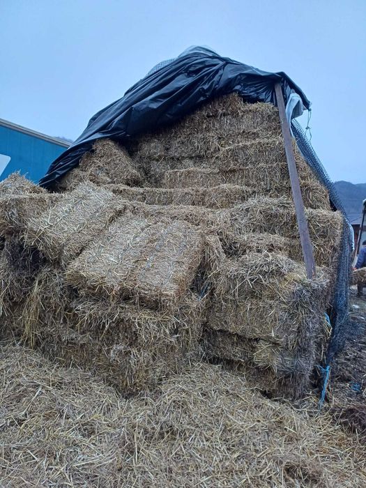 Baloti de fan, lucerna, paie si otava