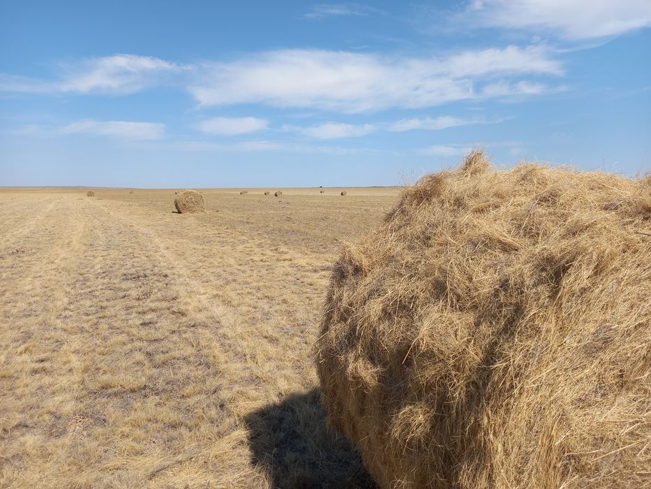 Продам крестьянской хозяйство