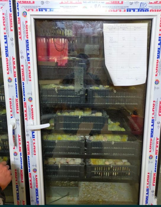 Продам инкубатор