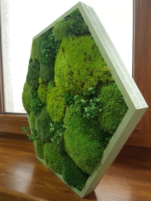 Tablou hexagonal din muschi si licheni 45.5 cm