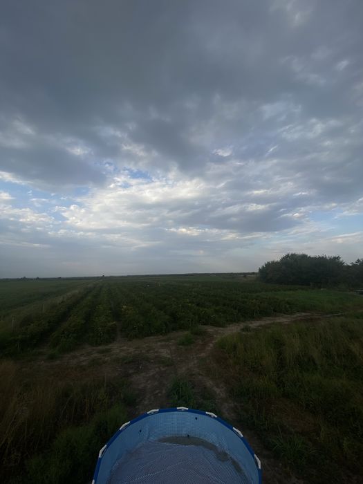 Фазенда бәйдібек би