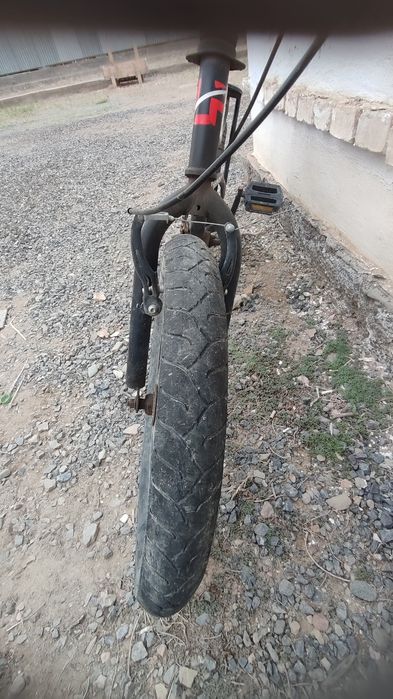 Велик горыный харошый