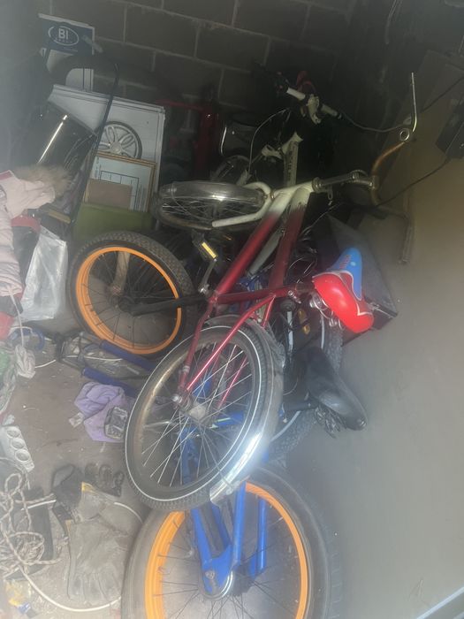 Велосипедтер үш дана