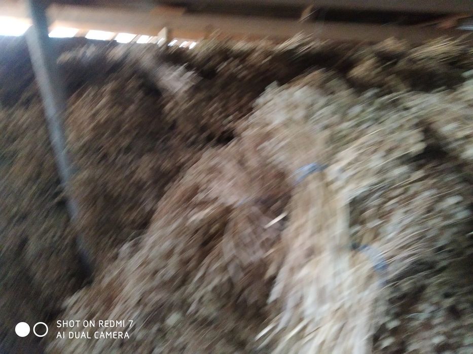 Исирик хазор Сувон сотилади