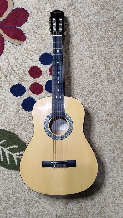 Гитара Agnetha  в хорошем состоянии торг есть